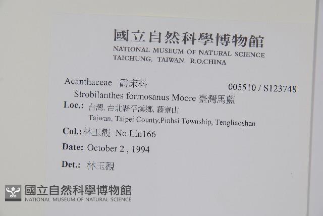 臺灣馬藍藏品圖，第2張