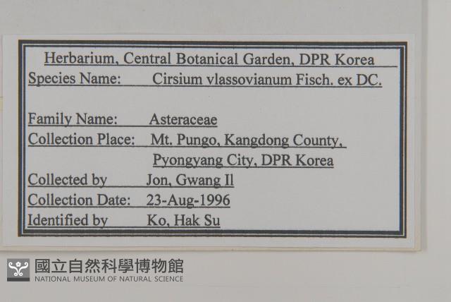 絨背薊藏品圖，第2張