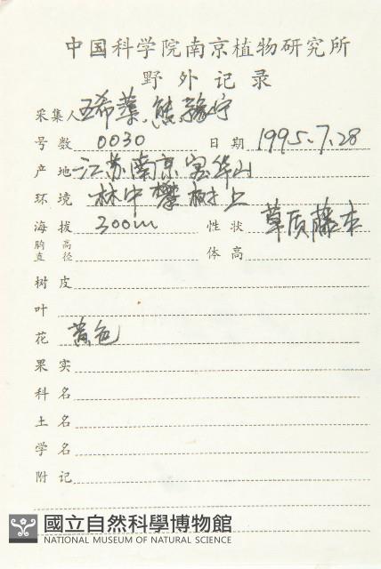 青牛膽藏品圖，第2張