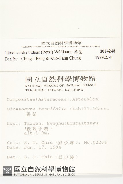 香茹藏品圖，第2張