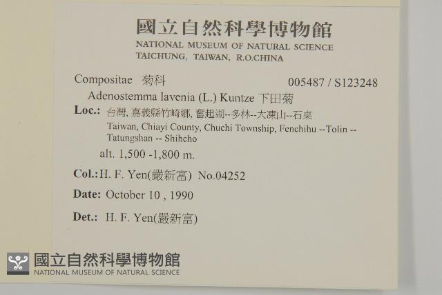 下田菊藏品圖，第2張