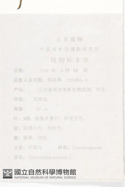 田旋花藏品圖，第2張