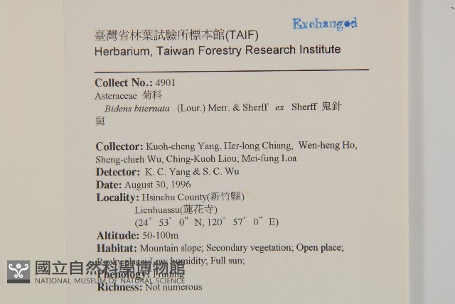 鬼針舅藏品圖，第2張