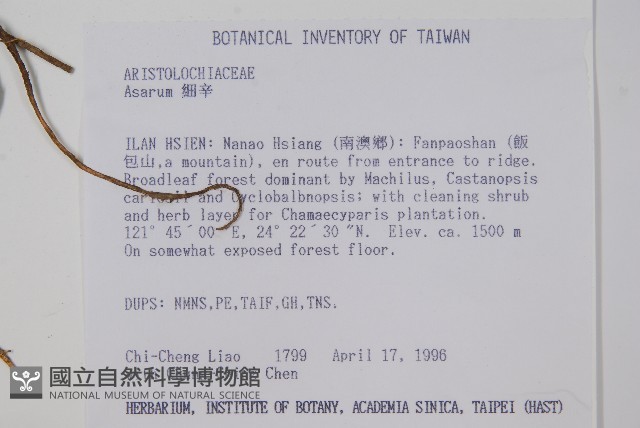登錄號:S032448藏品圖，第2張