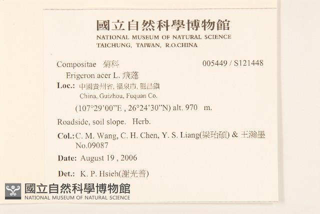 飛蓬藏品圖，第2張