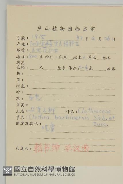 華東山柳藏品圖，第2張