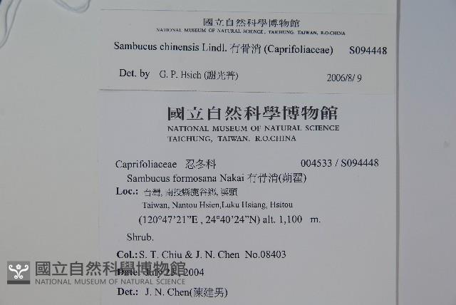 冇骨消藏品圖，第2張