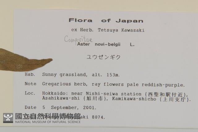 友禪花藏品圖，第2張