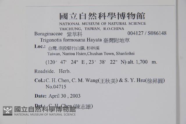 臺灣附地草藏品圖，第2張