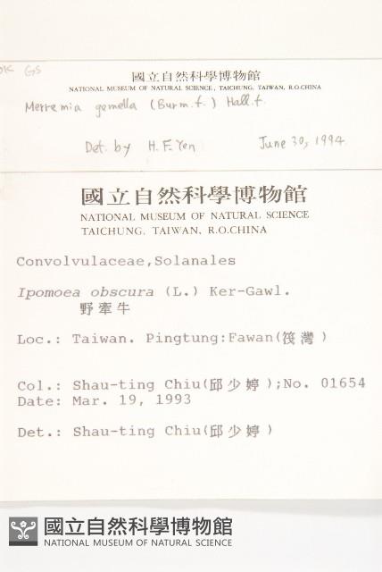 菜欒藤藏品圖，第2張