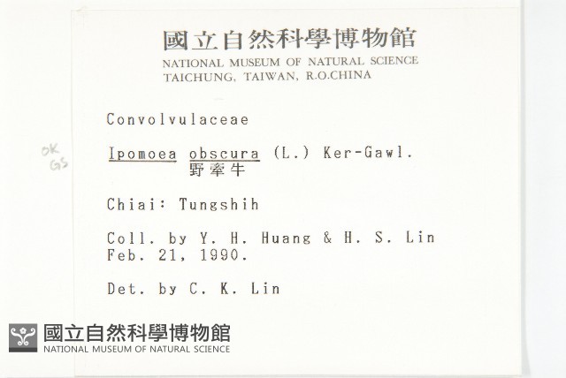 野牽牛藏品圖，第2張