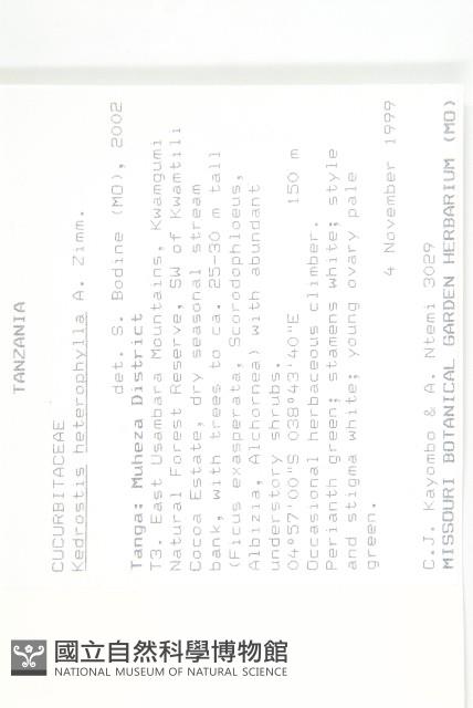 登錄號:S094148藏品圖，第2張