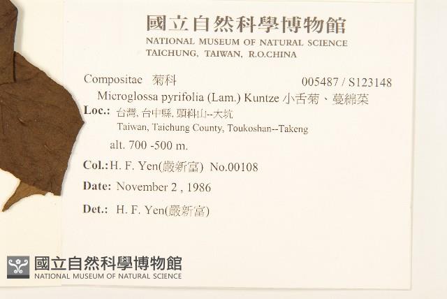 小舌菊、蔓綿菜藏品圖，第2張