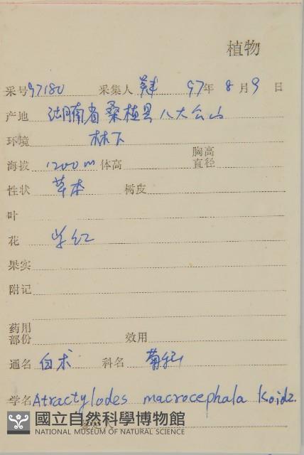 白朮藏品圖，第2張