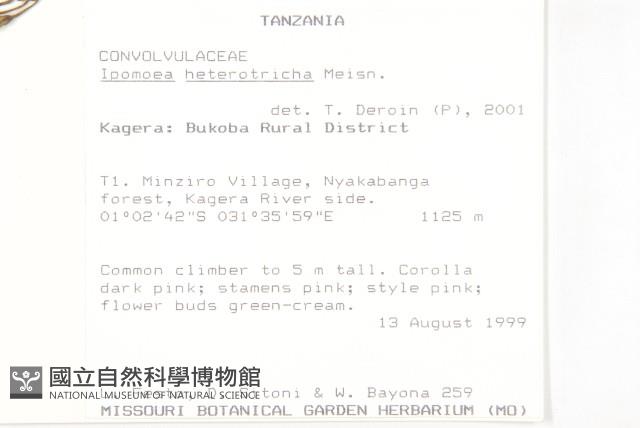 登錄號:S097148藏品圖，第2張