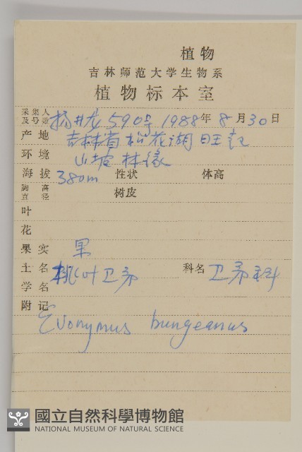 白杜藏品圖，第2張