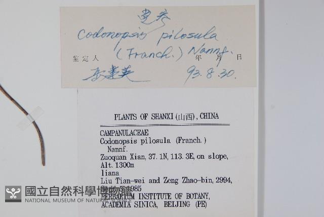 台參藏品圖，第2張