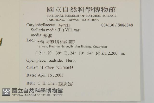 繁縷藏品圖，第2張