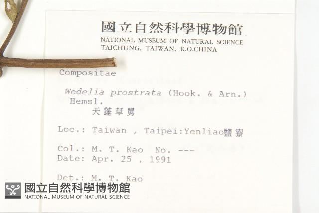 天蓬草舅藏品圖，第2張