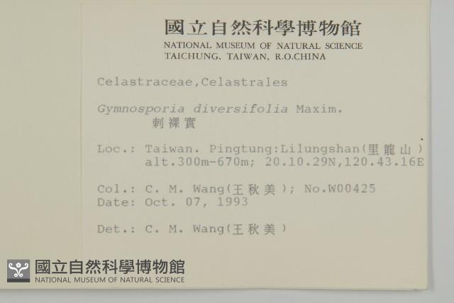 刺裸實、變葉裸實藏品圖，第2張