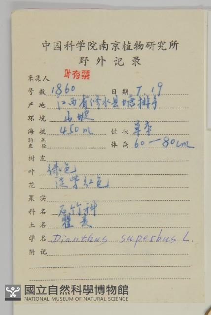 瞿麥藏品圖，第2張