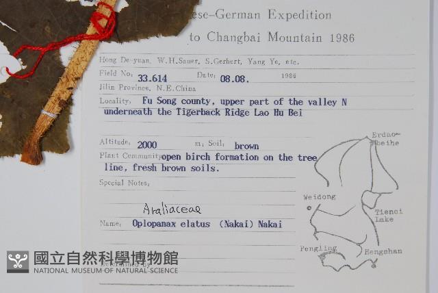 刺參藏品圖，第2張