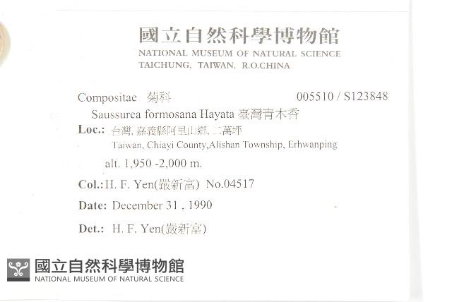 臺灣青木香藏品圖，第2張