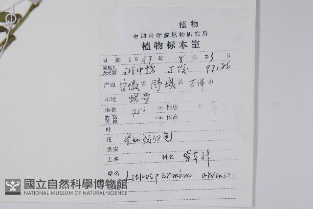 麥家公藏品圖，第2張