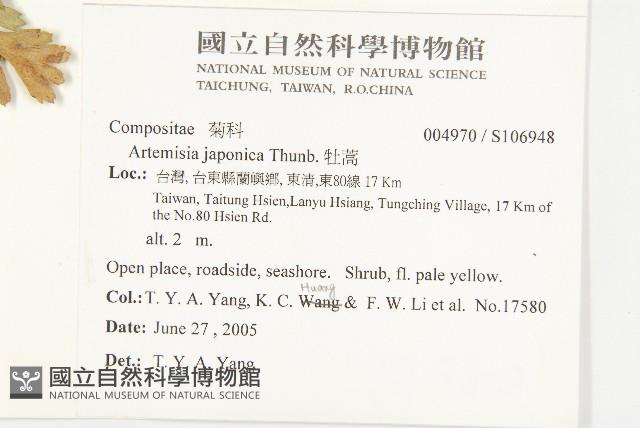 牡蒿藏品圖，第2張