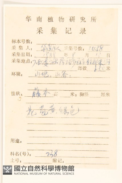 毒根斑鳩菊藏品圖，第2張