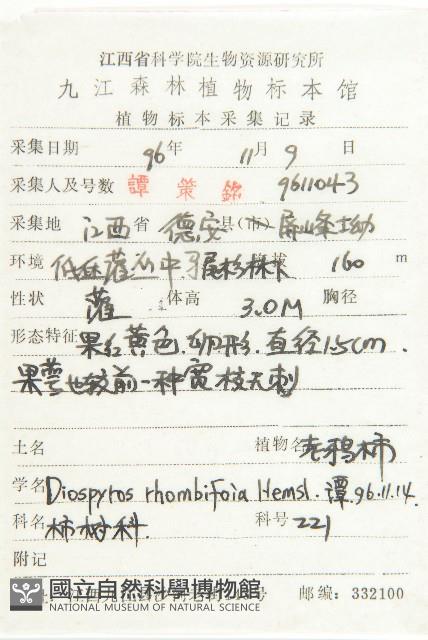 菱葉柿藏品圖，第2張