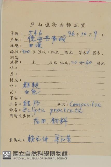 灰木藏品圖，第2張