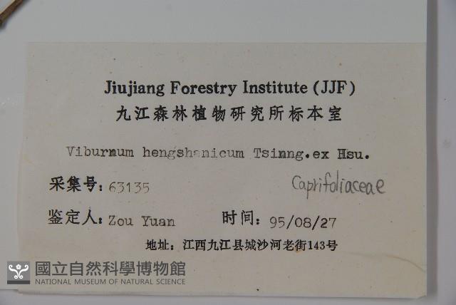 衡山莢迷藏品圖，第2張