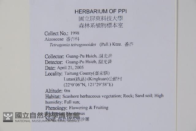 番杏藏品圖，第2張