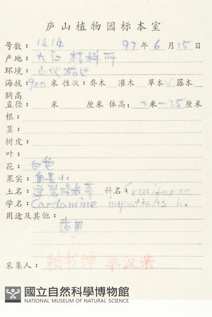 水花菜藏品圖，第2張