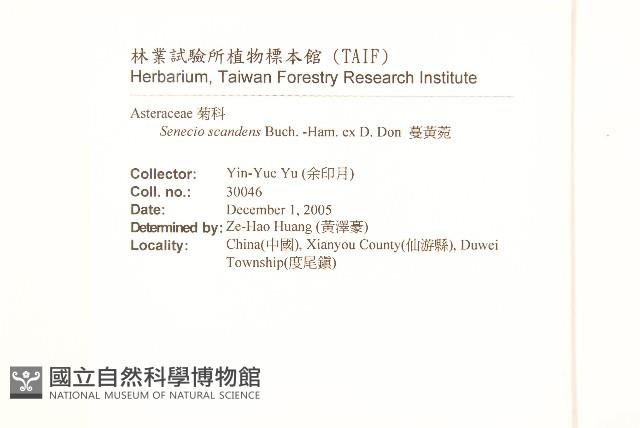 Accession Number:S132678 Collection Image, Figure 2, Total 2 Figures