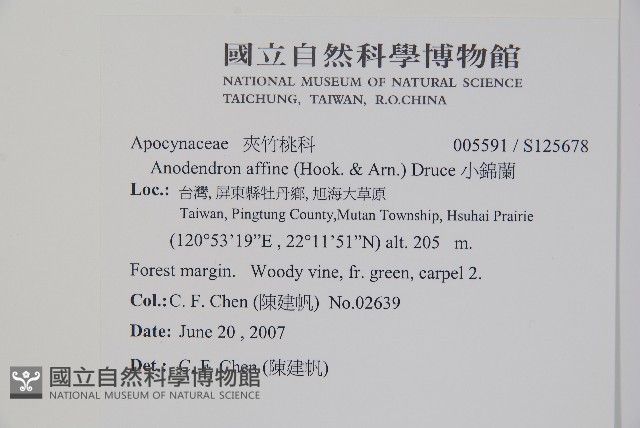 小錦蘭藏品圖，第2張