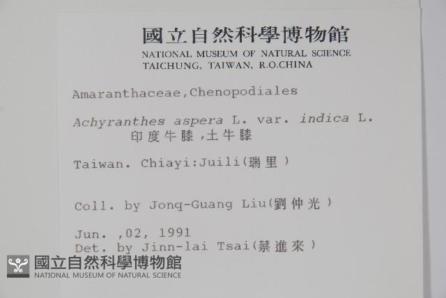 Accession Number:S004678 Collection Image, Figure 2, Total 2 Figures