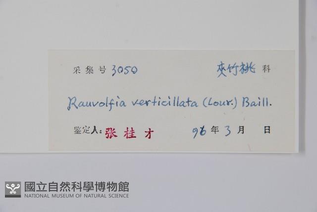 蘿芙木藏品圖，第2張