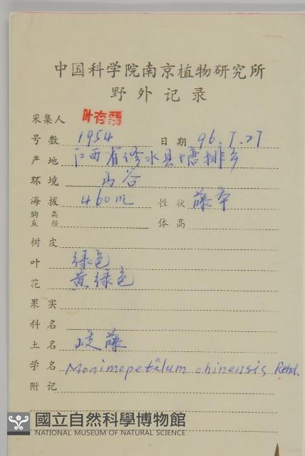 永瓣藤藏品圖，第2張