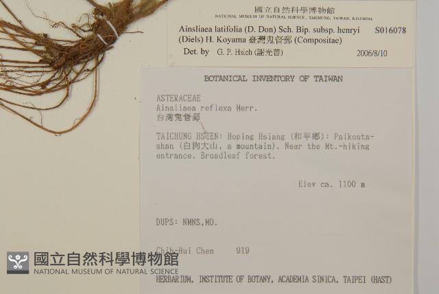 臺灣鬼督郵藏品圖，第2張