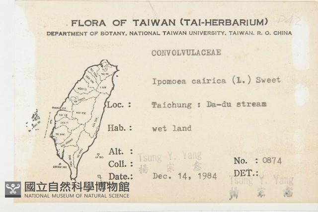 番仔藤藏品圖，第2張