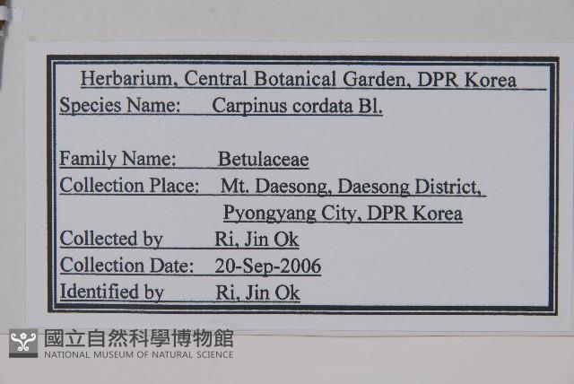 千金榆藏品圖，第2張