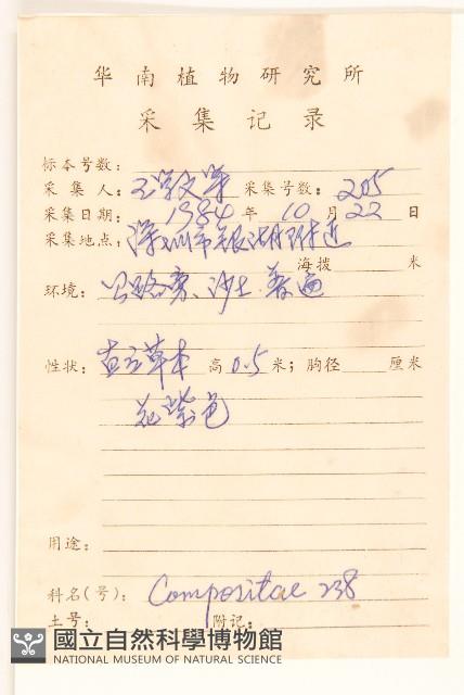 嶺南野菊藏品圖，第2張