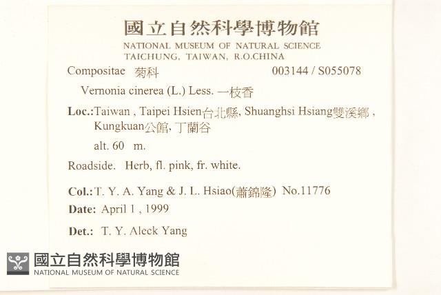 一枝香藏品圖，第2張