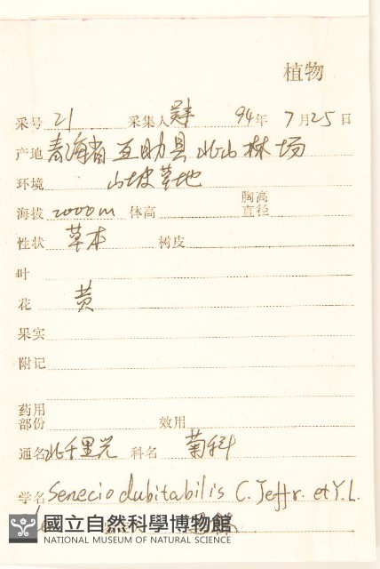 北千里光藏品圖，第2張