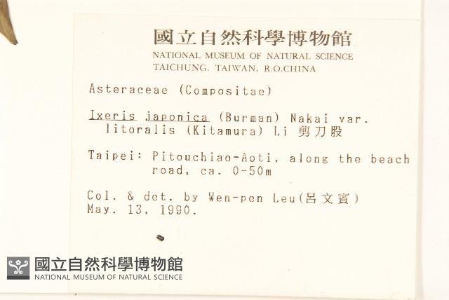 剪刀股藏品圖，第2張