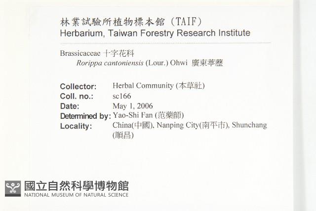 廣東葶藶藏品圖，第2張