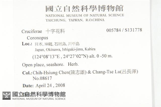 登錄號:S131778藏品圖，第2張