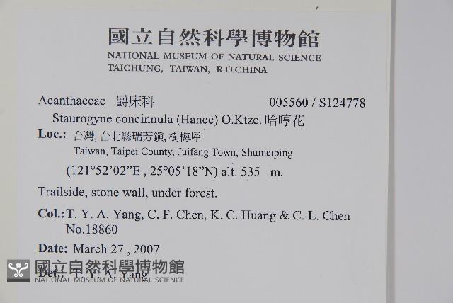 哈哼花藏品圖，第2張